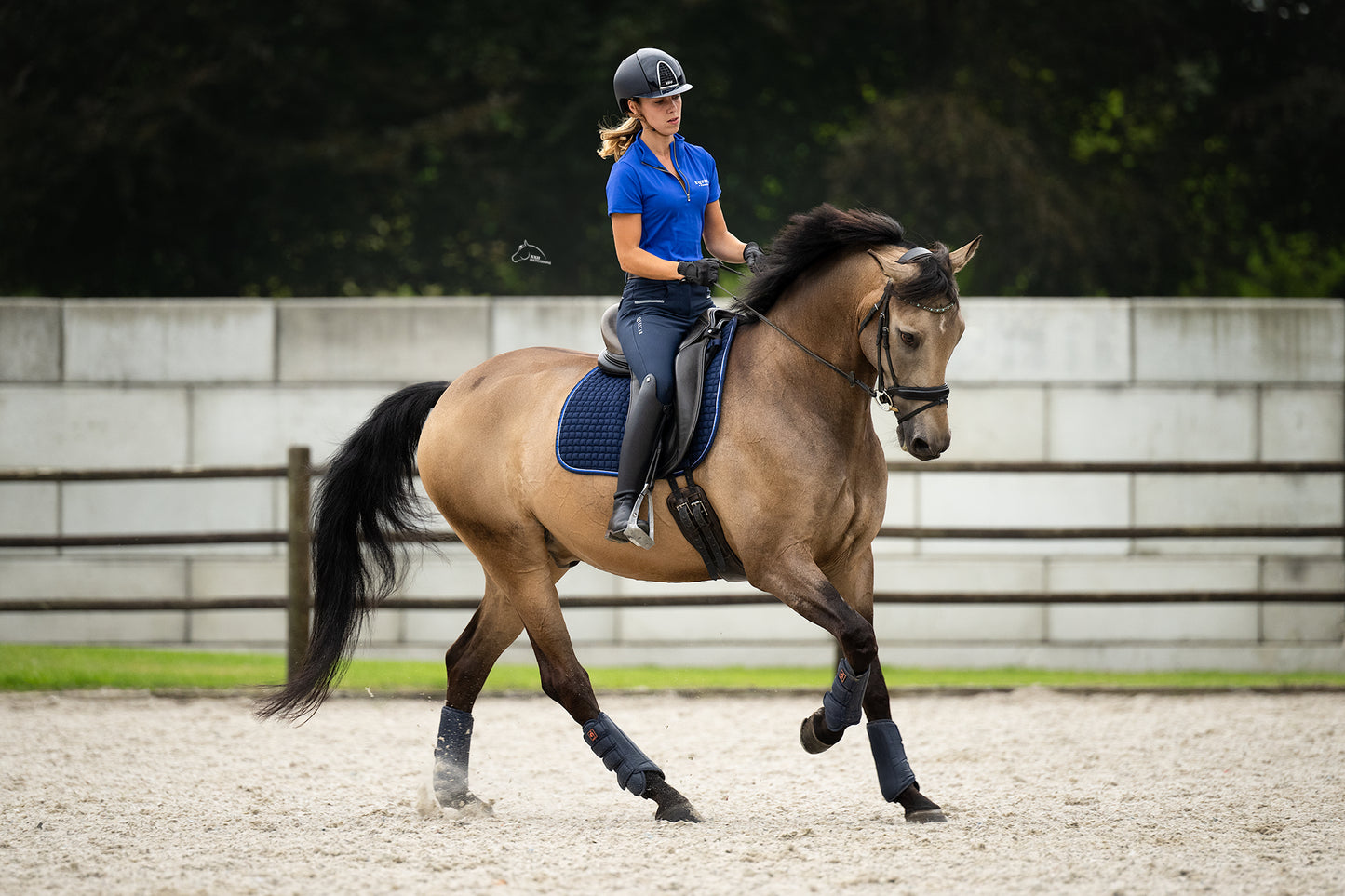 Koningsblauw baselayer