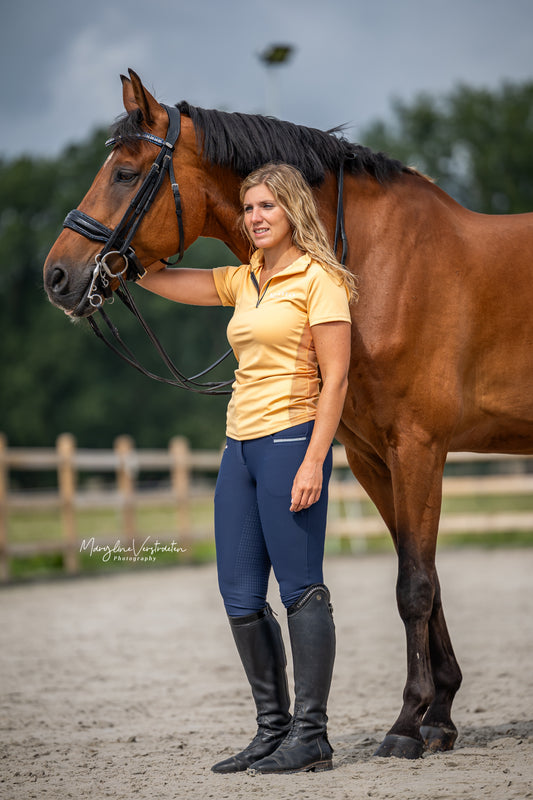 baselayer