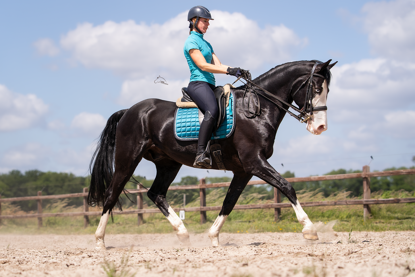 Turqouise baselayer