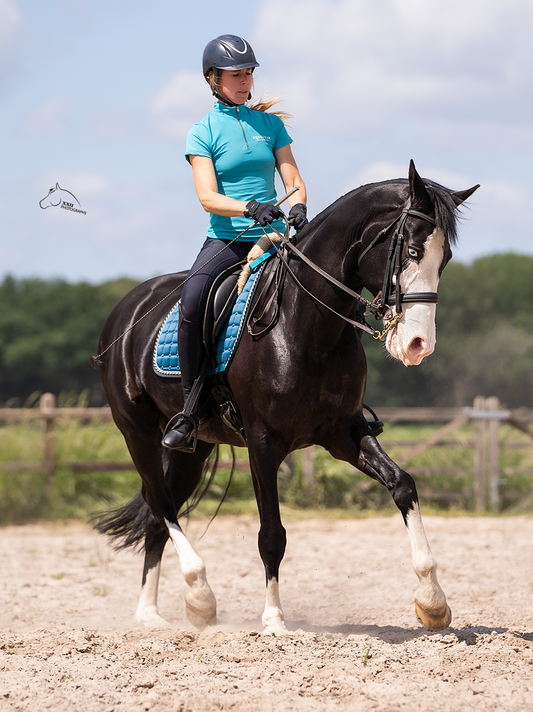 Turqouise baselayer