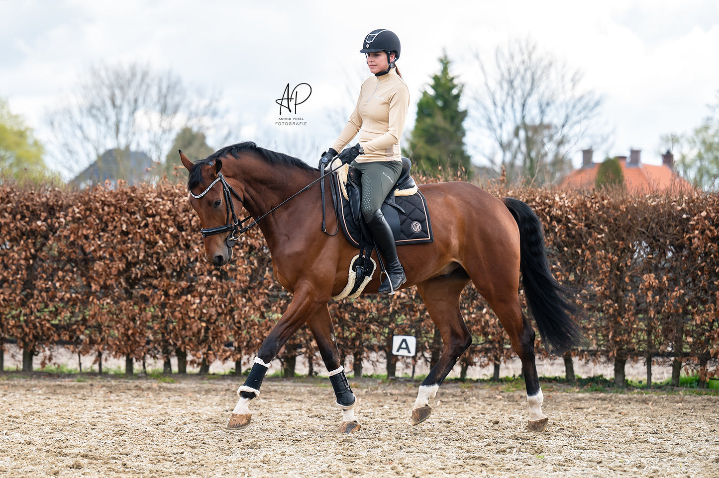 baselayer